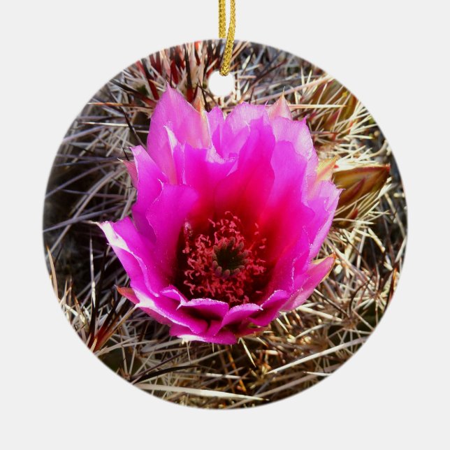 Blossoming Cactus (Prickly Pear) Wildflower Ceramic Ornament (Front)