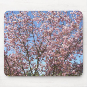 Blossoming Cherry Trees Mouse Pad