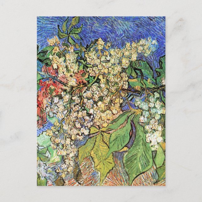 Blossoming Chestnut Branches by Vincent van Gogh Postcard (Front)