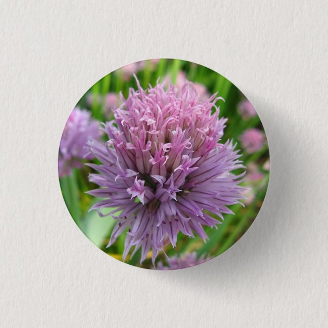 Blossoming Chives Button (Front)
