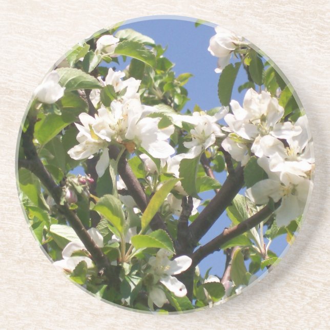 Blossoming Floral Branches-  Coaster (Front)