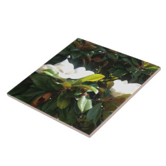 Blossoming Magnolia Tree Tile