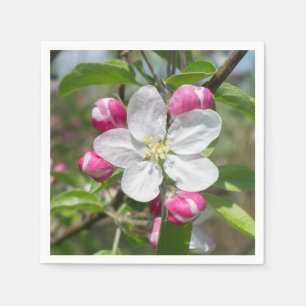 Blossoming of apple tree napkin