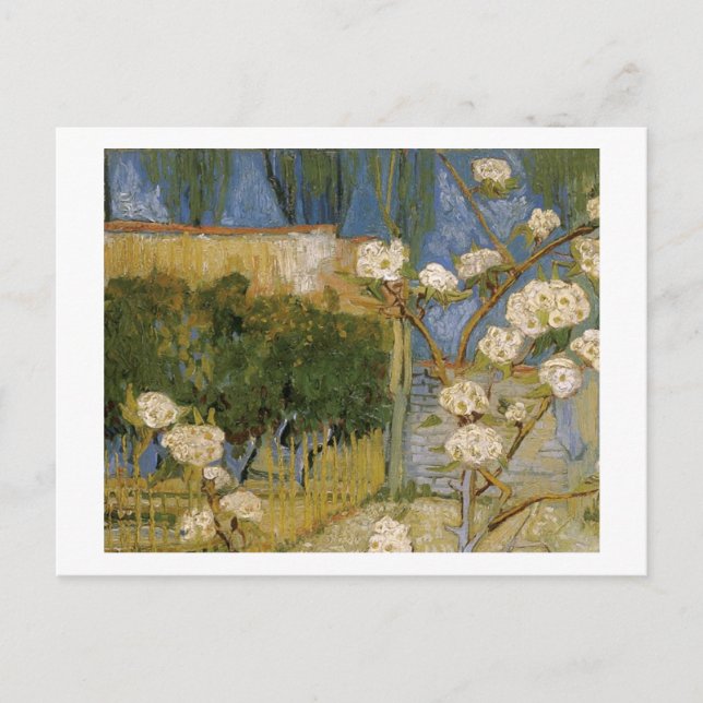 Blossoming Pear Tree, Vincent van Gogh Postcard (Front)