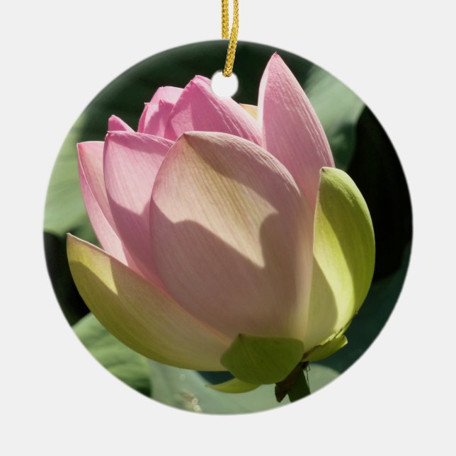 Blossoming Pink Lotus Flower Summer Ceramic Ornament (Front)