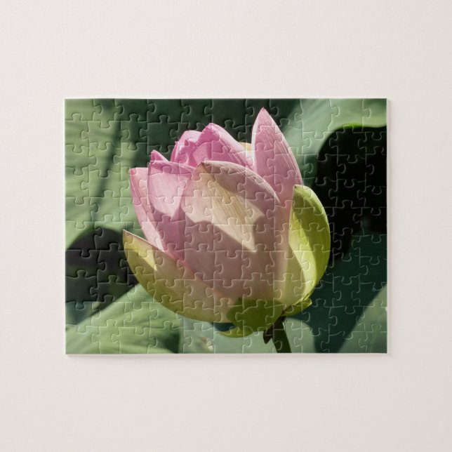 Blossoming Pink Lotus Flower Summer Jigsaw Puzzle (Horizontal)
