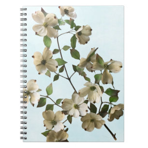 Blossoming White Dogwood Flowers Notebook