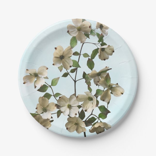 Blossoming White Dogwood Flowers Paper Plate (Front)