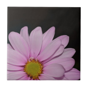 Blossoms Daisy Flowers Peace Love Nature Destiny Tile