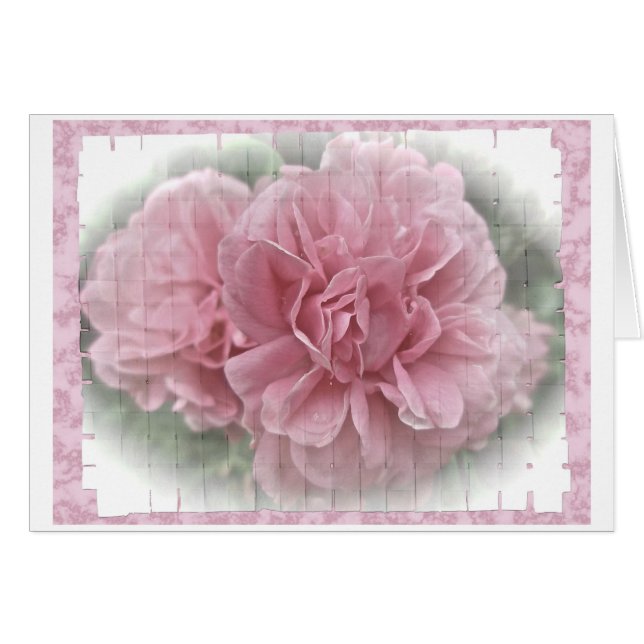 Blossoms des Roses Escalades roses (Devant horizontal)