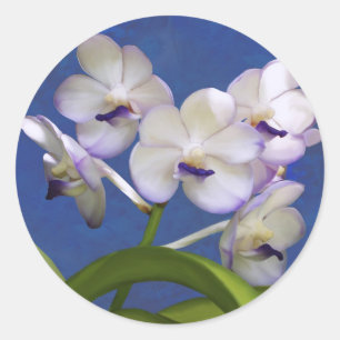 Blossoms Floral Plants Colourful Photograph Art Classic Round Sticker