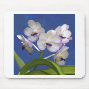 Blossoms Floral Plants Colourful Photograph Art Mouse Pad