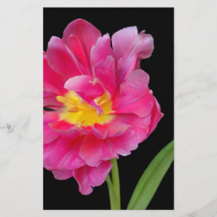 Blossoms Flowers Party Shower Congratulations Love Stationery