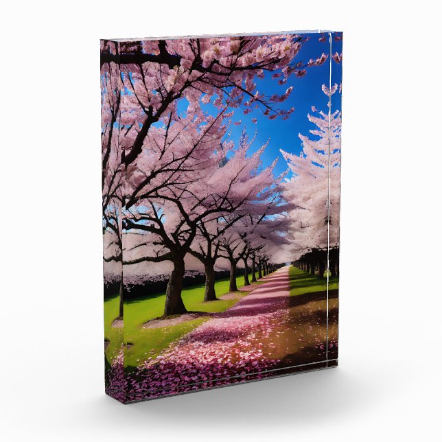 "Blossoms in Bloom: Rows of Cherry Trees in Spring Photo Block (Left)