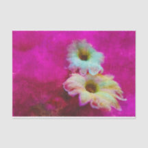 Blossoms in pink  