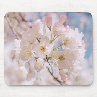 Blossoms Mouse Pad