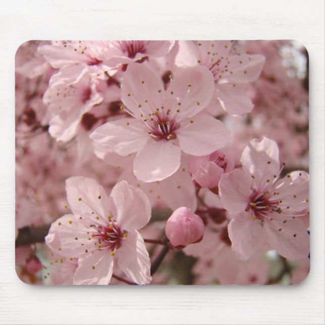 Blossoms mousepad Pink Spring Tree blossoms (Front)