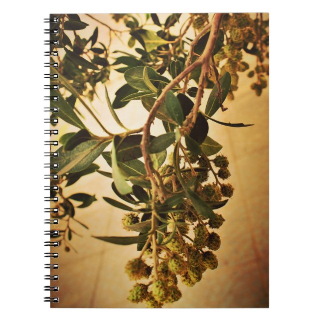 Blossoms Notebook (Front)