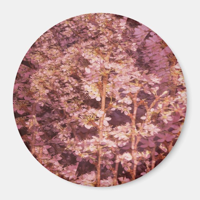 Blossoms of Spring..... Magnet (Front)