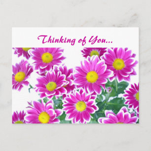Blossoms postcard