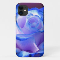blossoms vines petal rose flowers flower blue love
