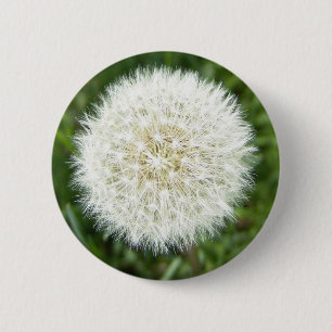 blow bull 2 inch round button