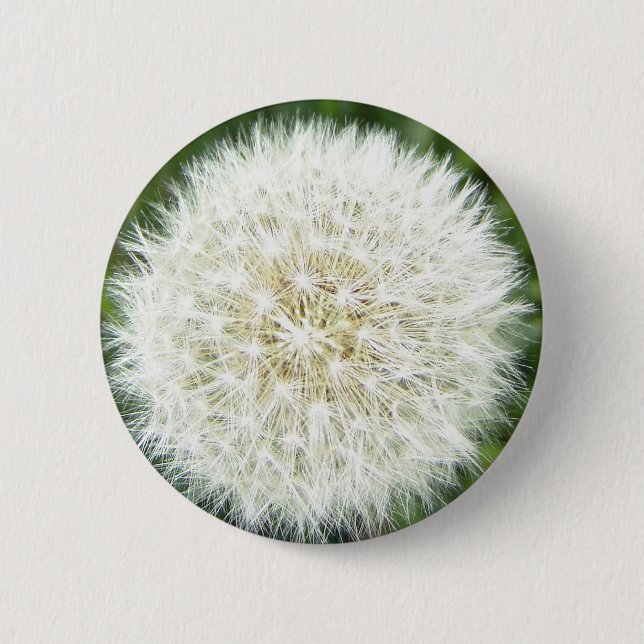 blow bull 2 inch round button (Front)