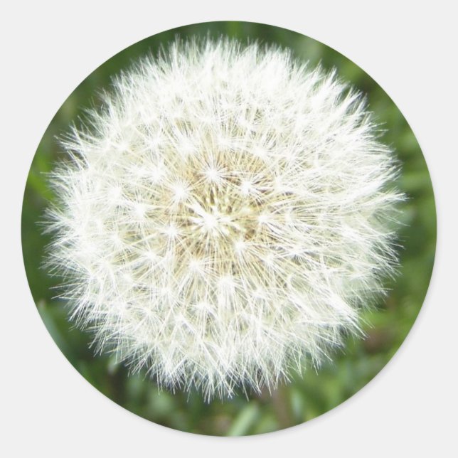 blow bull classic round sticker (Front)