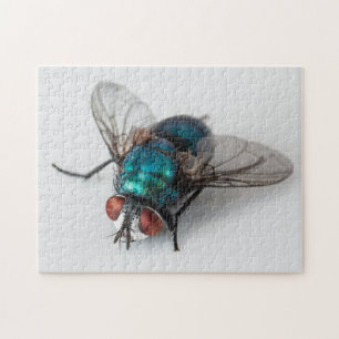 Blowfly Blue Bottle Fly Close-up Bug Photo Puzzle