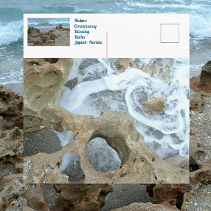 Blowing Rocks Jupiter Florida Photographic Postcard