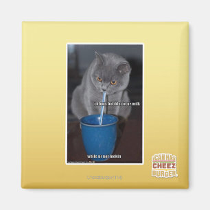 Blows Bubbles in ur milk Magnet