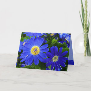 Blu Daisy Thank You Card