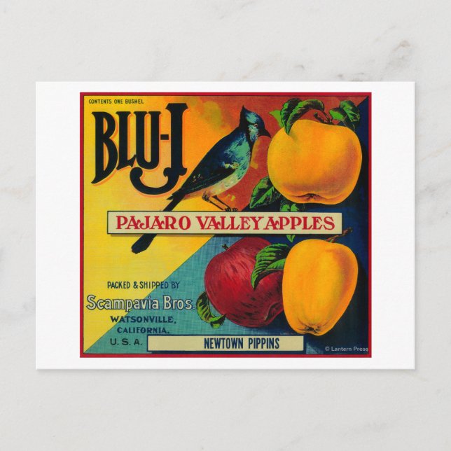 Blu-J Apple Crate LabelWatsonville, CA Postcard (Front)