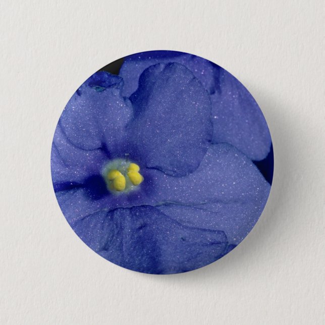Blue African violet flowers 2 Inch Round Button (Front)