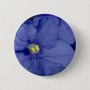 Blue African violet flowers 2 Inch Round Button