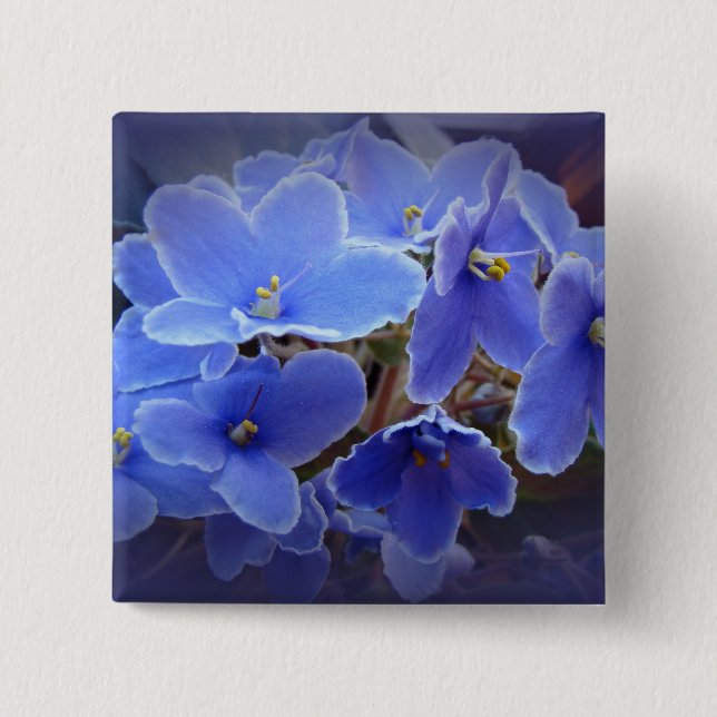Blue African Violets 2 Inch Square Button (Front)