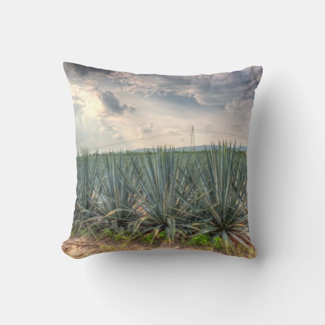Blue Agave Throw Pillow (Front)