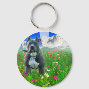 Blue American Pit Bull Terrier, Pikes Peak Keychain