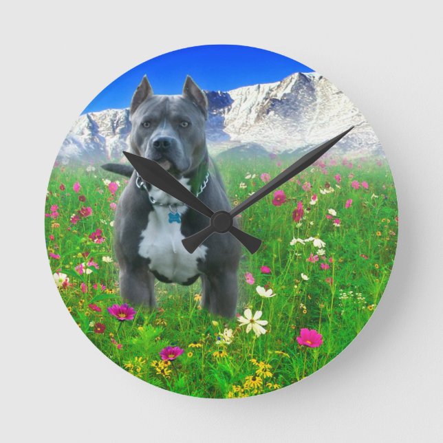Blue American Pit Bull Terrier, Pikes Peak Round Clock (Front)