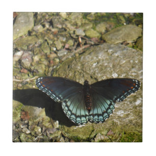 Blue and Black Butterfly Tile