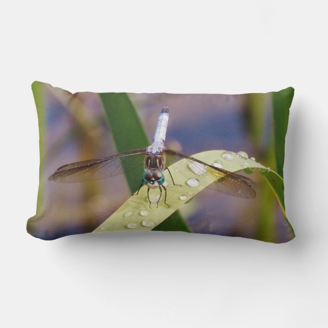 Blue and black dragonfly lumbar pillow (Front)