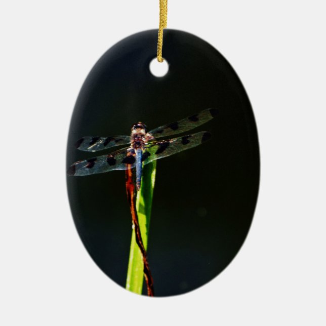 Blue and black  Dragonfly on green and red grass Ceramic Ornament (Front)