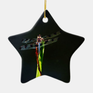 Blue and black  Dragonfly on green and red grass Ceramic Ornament