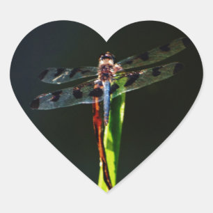 Blue and black  Dragonfly on green and red grass Heart Sticker