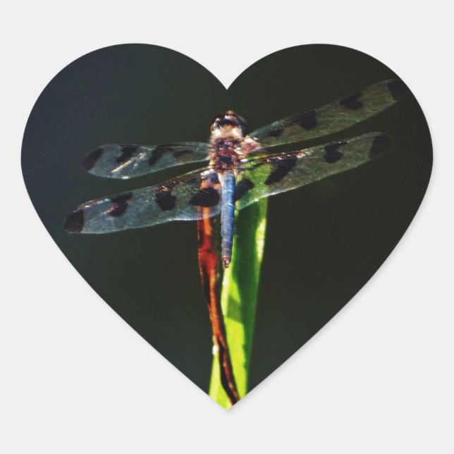Blue and black  Dragonfly on green and red grass Heart Sticker (Front)