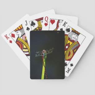 Blue and black Dragonfly on green and red grass Playing Cards