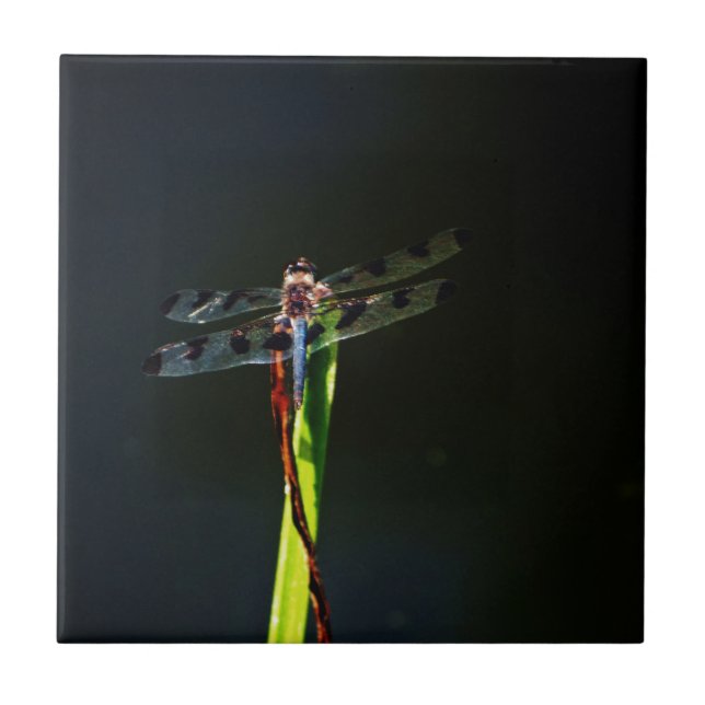 Blue and black  Dragonfly on green and red grass Tile (Front)