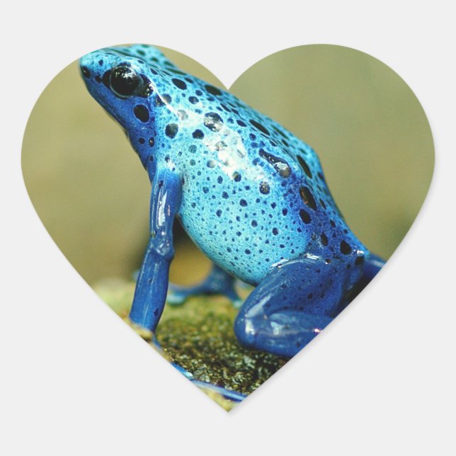 Blue and Black Poison Dart Frog Heart Sticker (Front)
