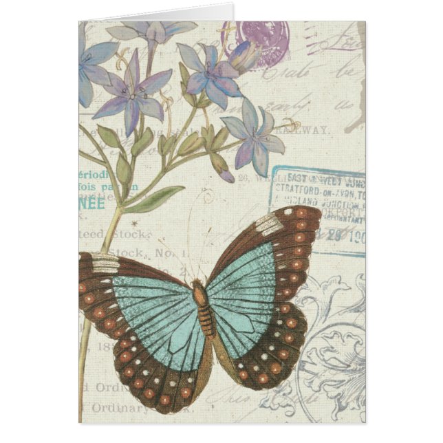 Blue and Brown Butterfly (Front)