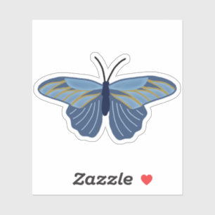 Blue and Gold Butterfly